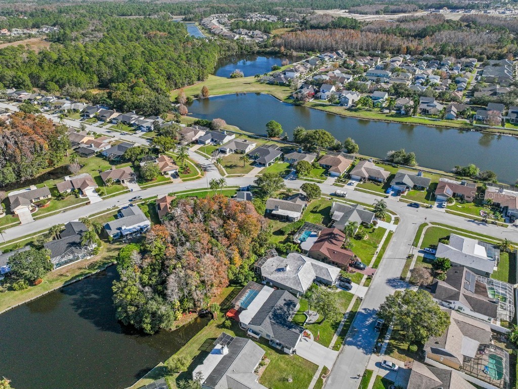 9909 Middlecoff Drive New Port Richey FL 34655 TB8458570 image37