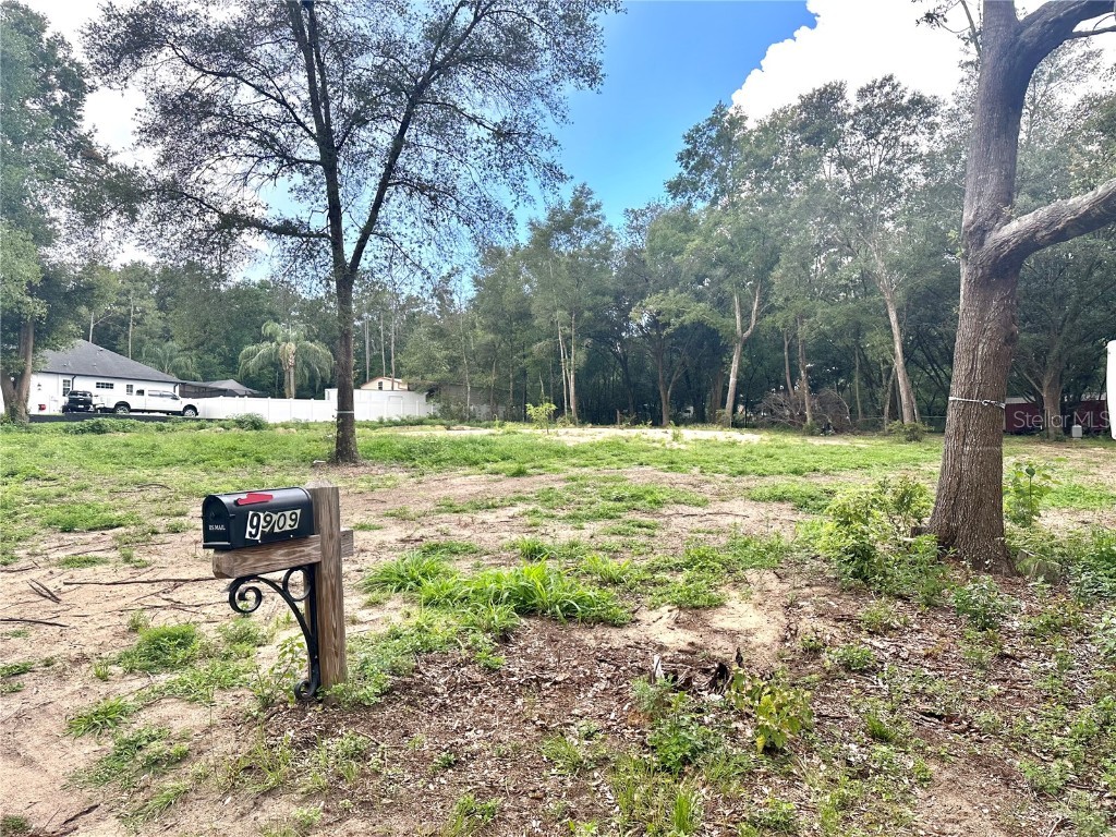 9909 Pine Leaf Dade City FL 33525 T3451611 image1