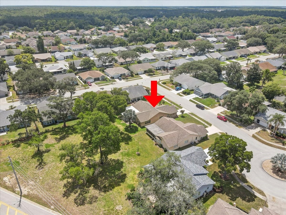 9909 Saint Joseph Court New Port Richey FL 34655 TB8522427 image33