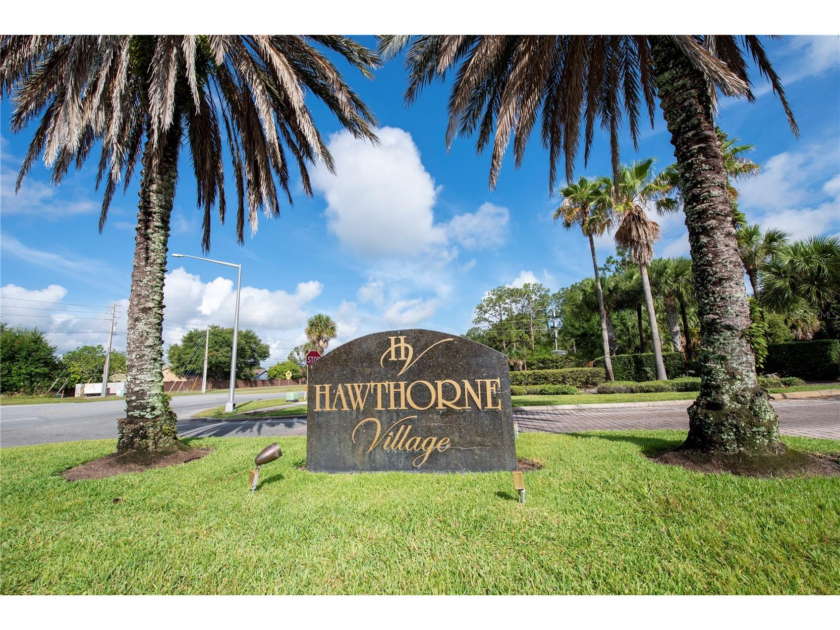 9909 Sweepstakes Lane #4 Orlando FL 32837 S5147811 image27
