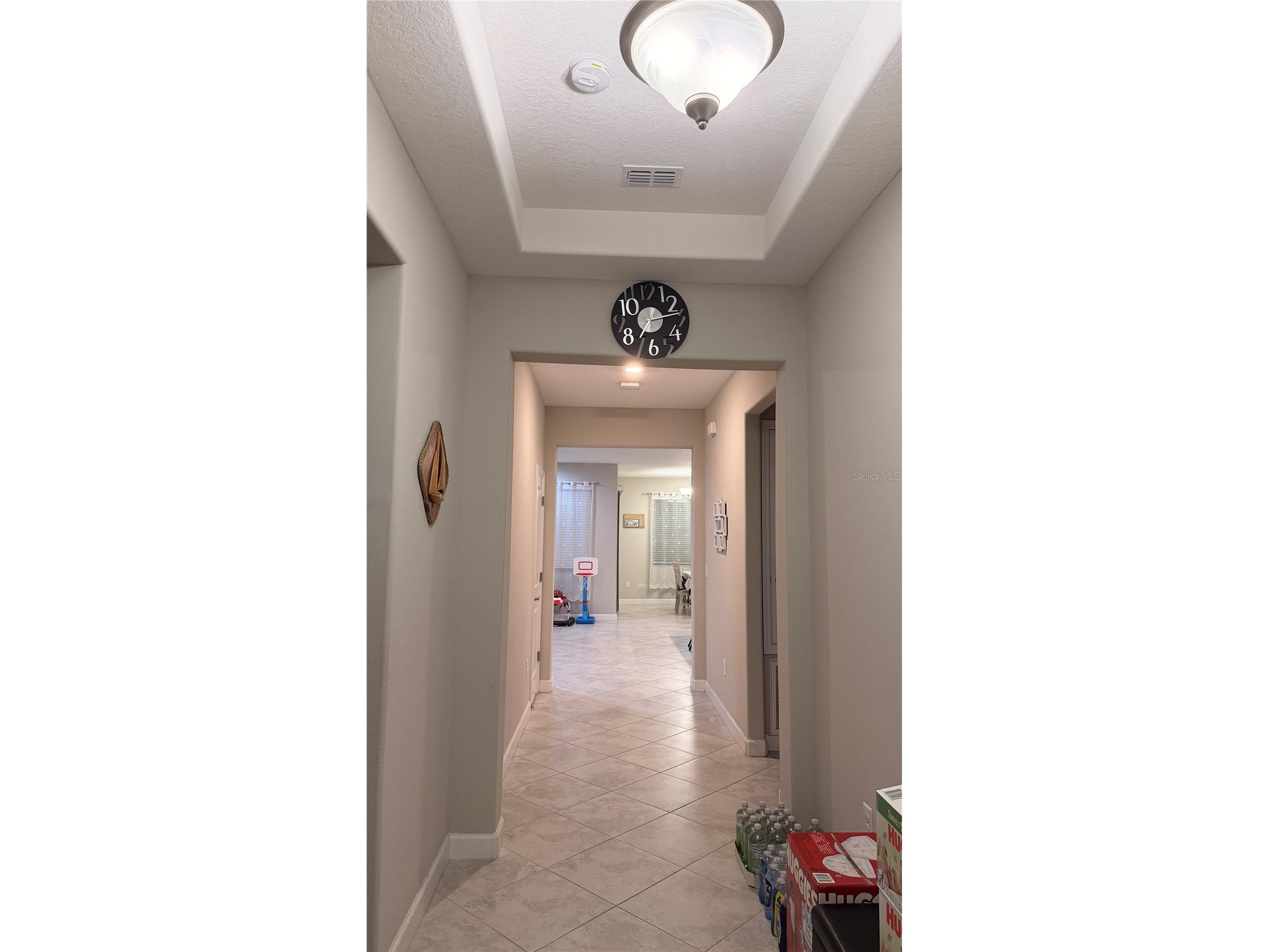 9909 Victory Gallop Loop Ruskin FL 33573 TB8462621 image14