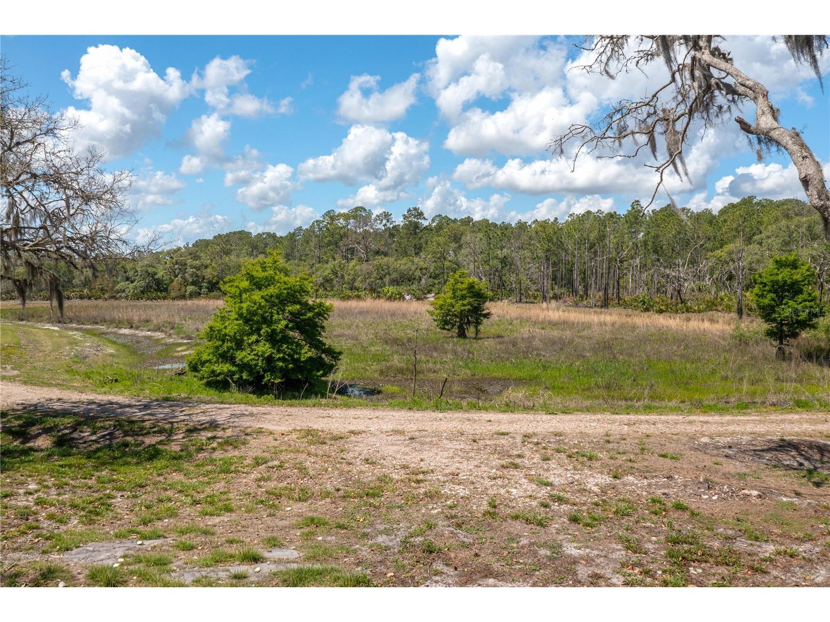 991 Bay Court Frostproof FL 33843 P4938557 image35