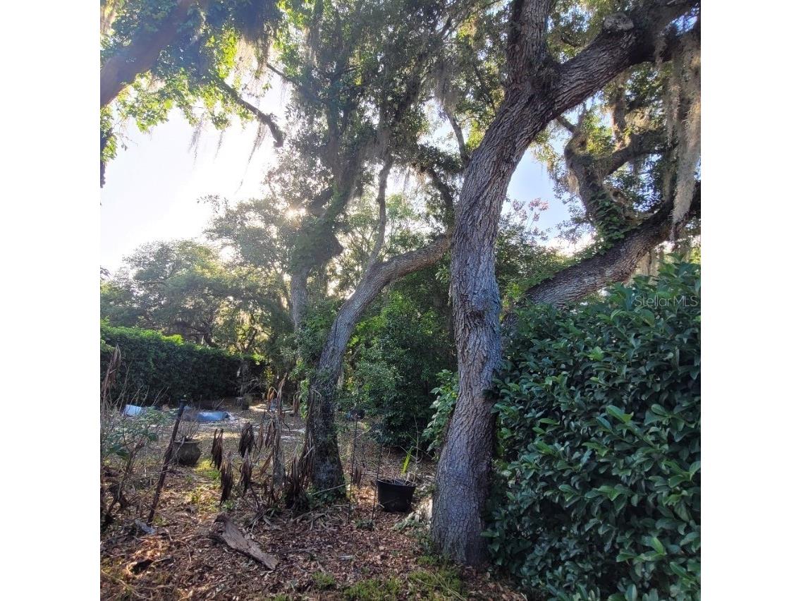 991 Old Cutler Road Lake Wales FL 33898 P4938582 image37