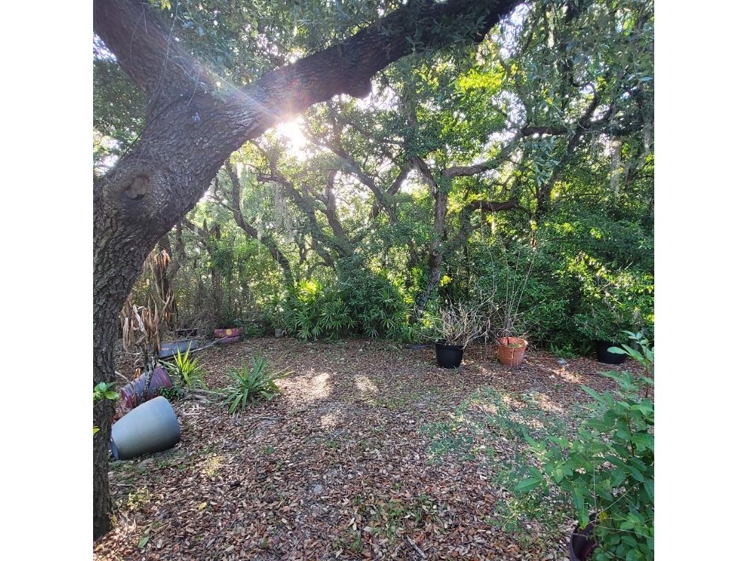 991 Old Cutler Road Lake Wales FL 33898 P4938582 image39