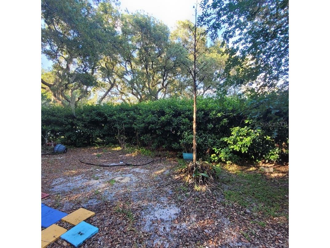 991 Old Cutler Road Lake Wales FL 33898 P4938582 image41