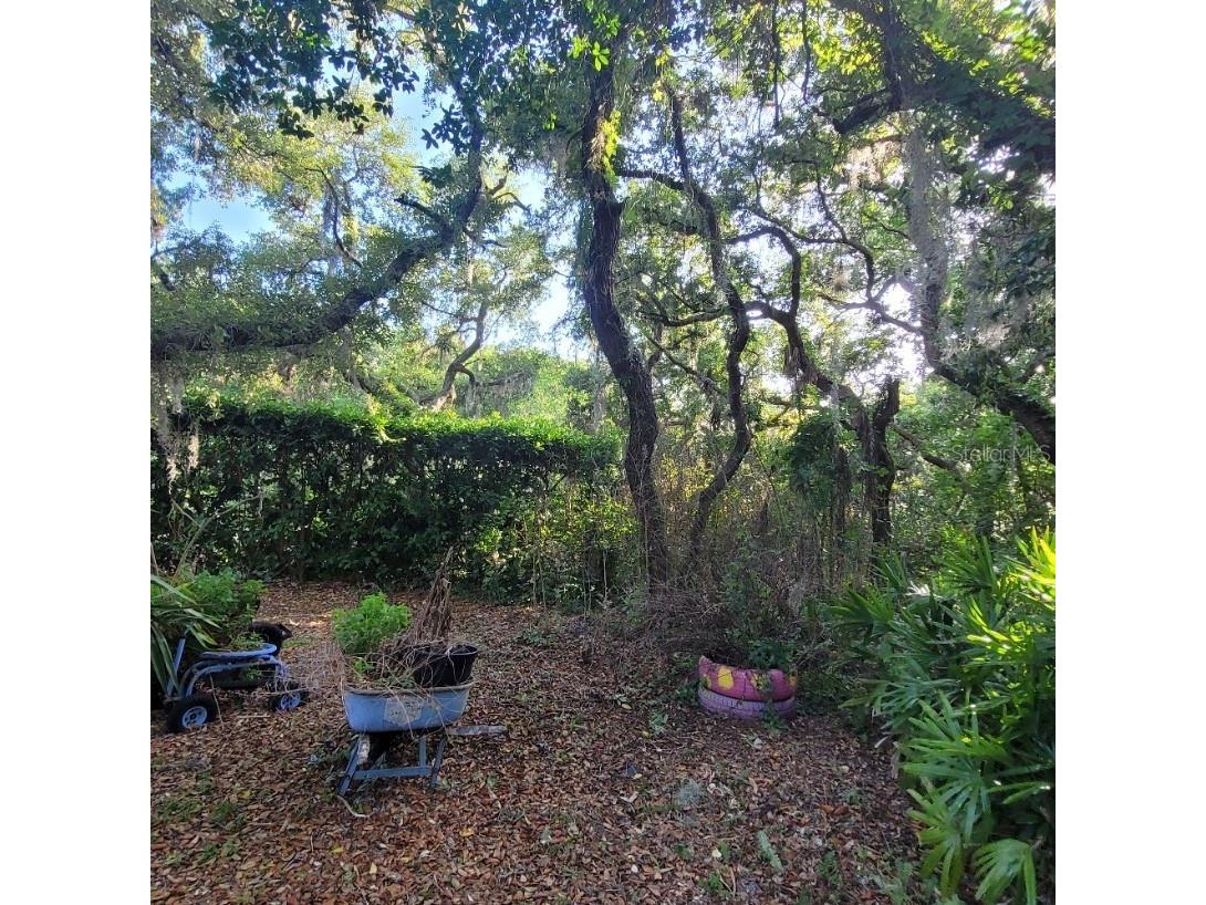 991 Old Cutler Road Lake Wales FL 33898 P4938582 image43