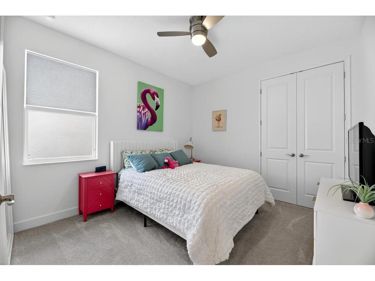 991 Signet Drive Apollo Beach FL 33572 TB8419126 image35