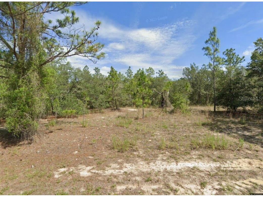 991 W Bannister Drive Citrus Springs FL 34434 GC523544 image1