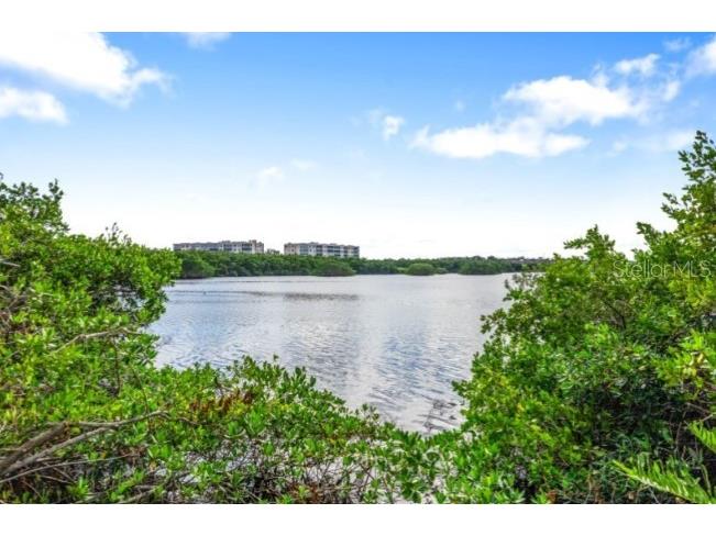 9910 Key Haven Road Seminole FL 33777 - LONG BAYOU A4680929 image29