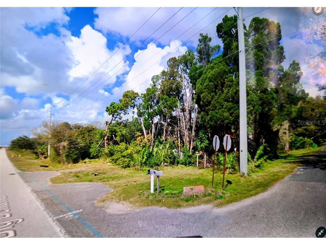 9910 Old Big Bend Road Gibsonton FL 33534 T3323674 image1