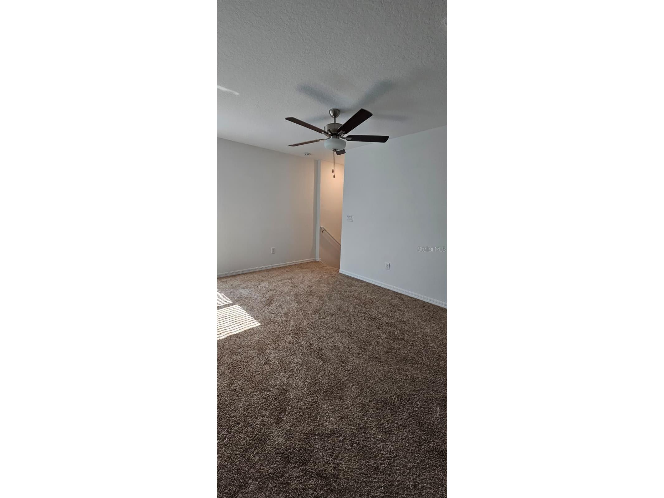 9910 Spanish Lime Court Riverview FL 33578 TB8520545 image13