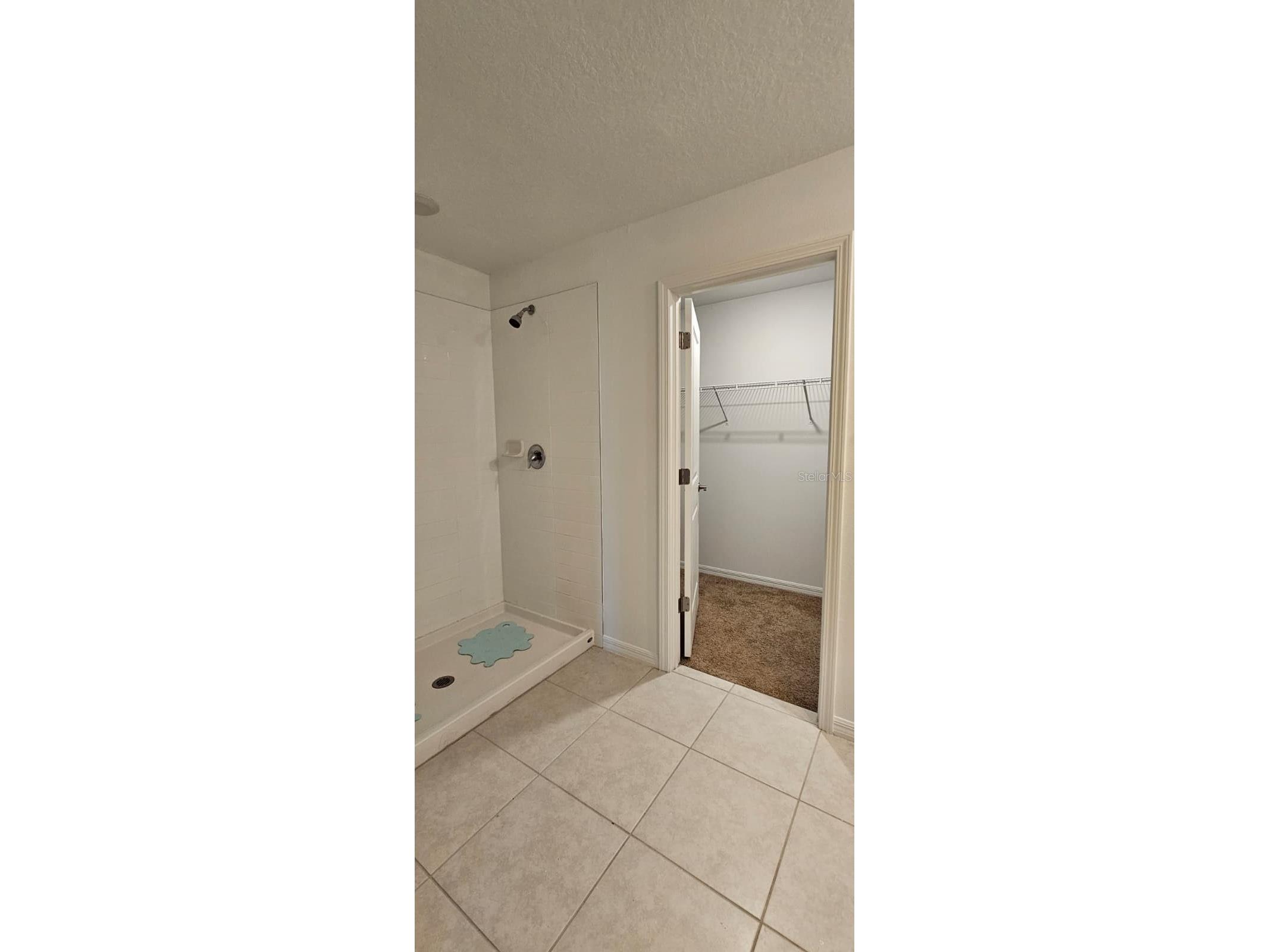 9910 Spanish Lime Court Riverview FL 33578 TB8520545 image16