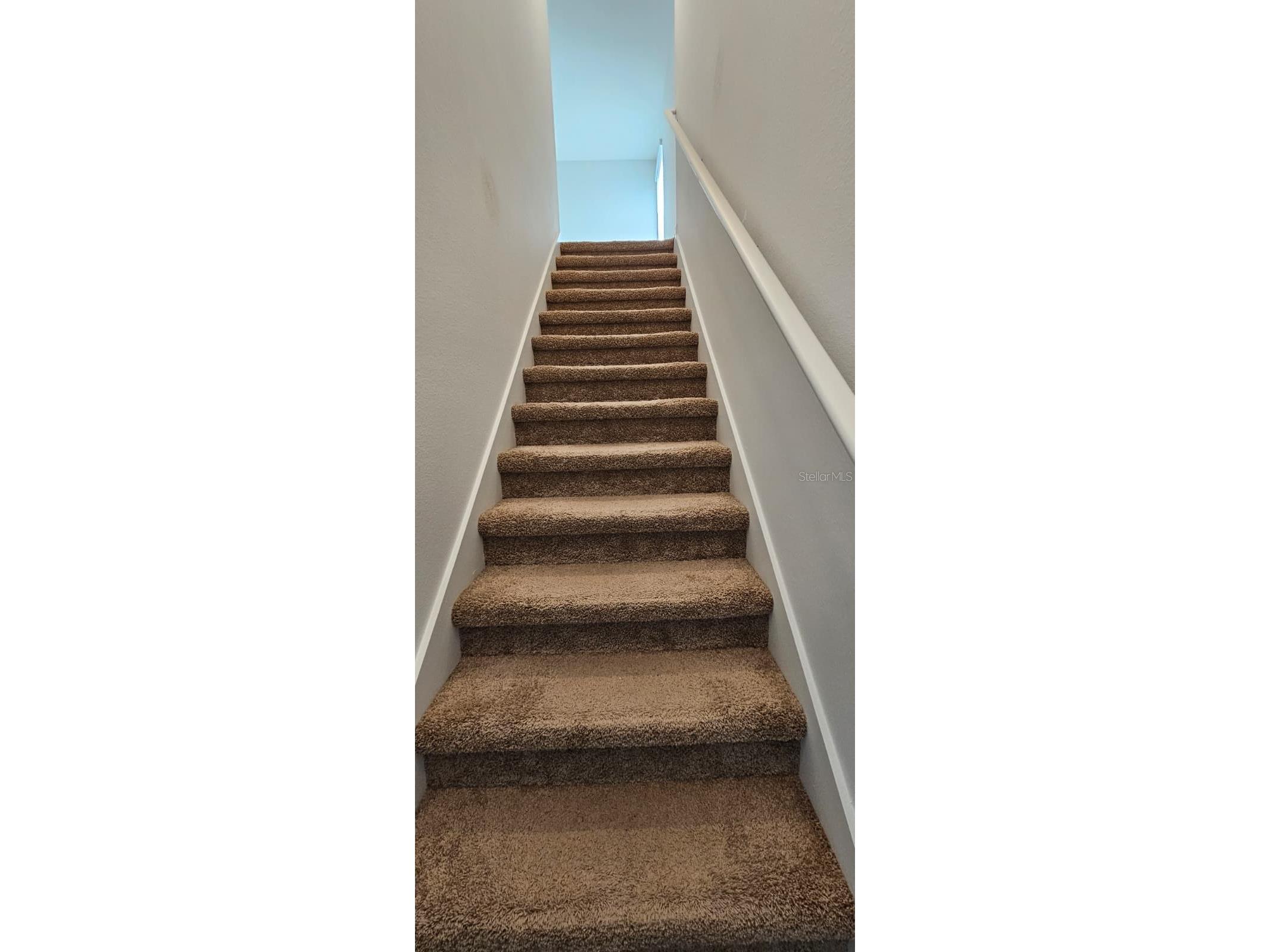 9910 Spanish Lime Court Riverview FL 33578 TB8520545 image19