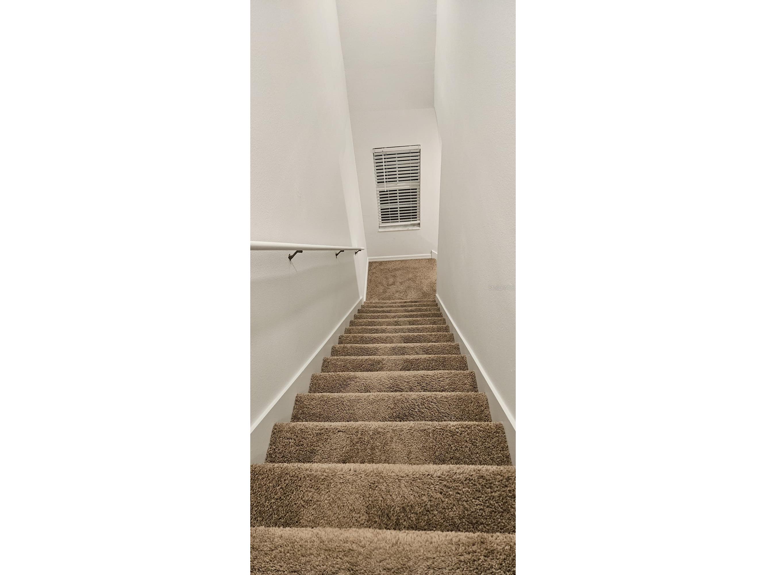 9910 Spanish Lime Court Riverview FL 33578 TB8520545 image41