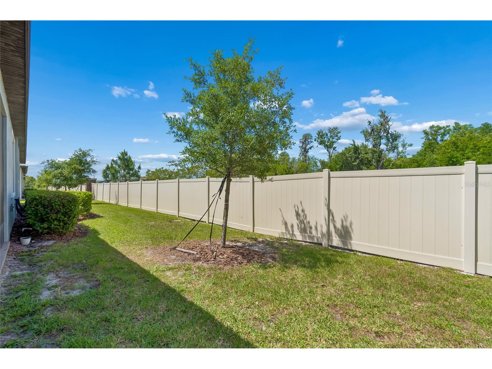 9911 Campanula Court Land O Lakes FL 34637 TB8502750 image29