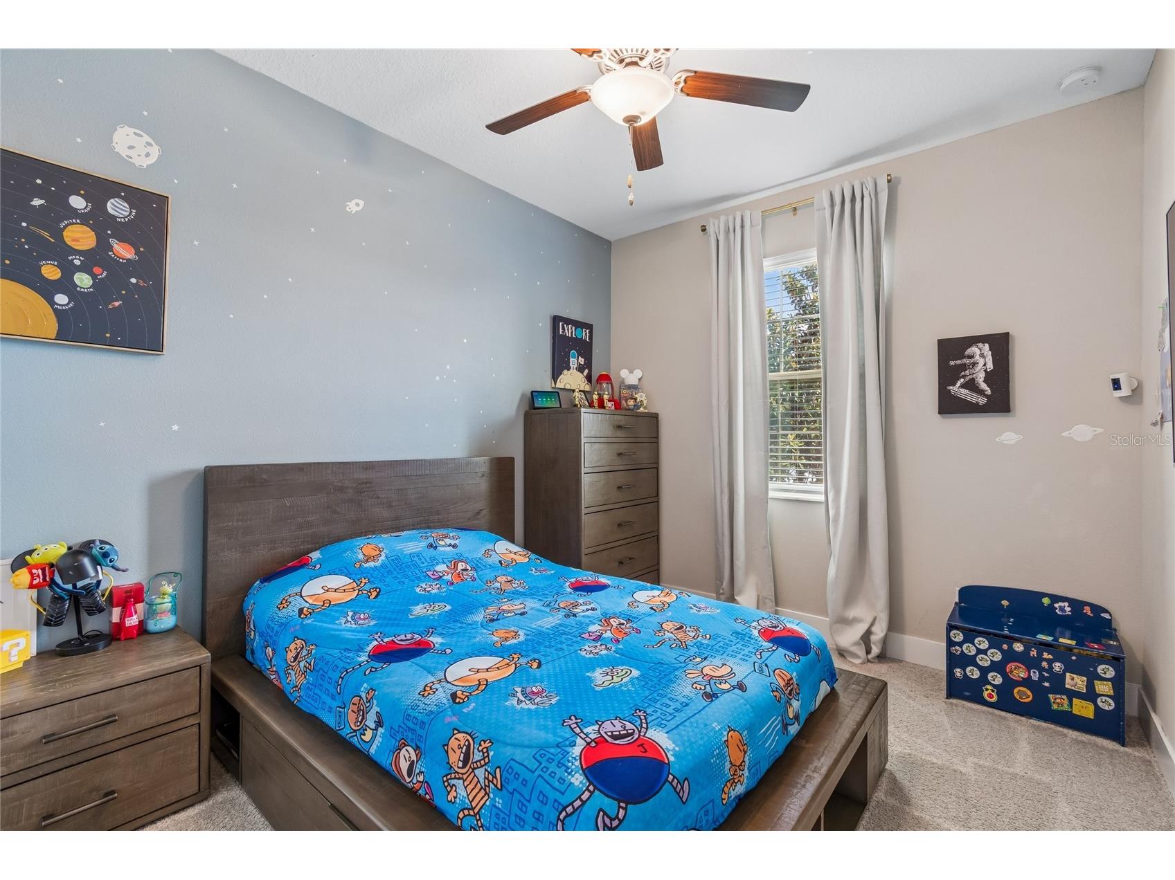 9911 Campanula Court Land O Lakes FL 34637 TB8502750 image3