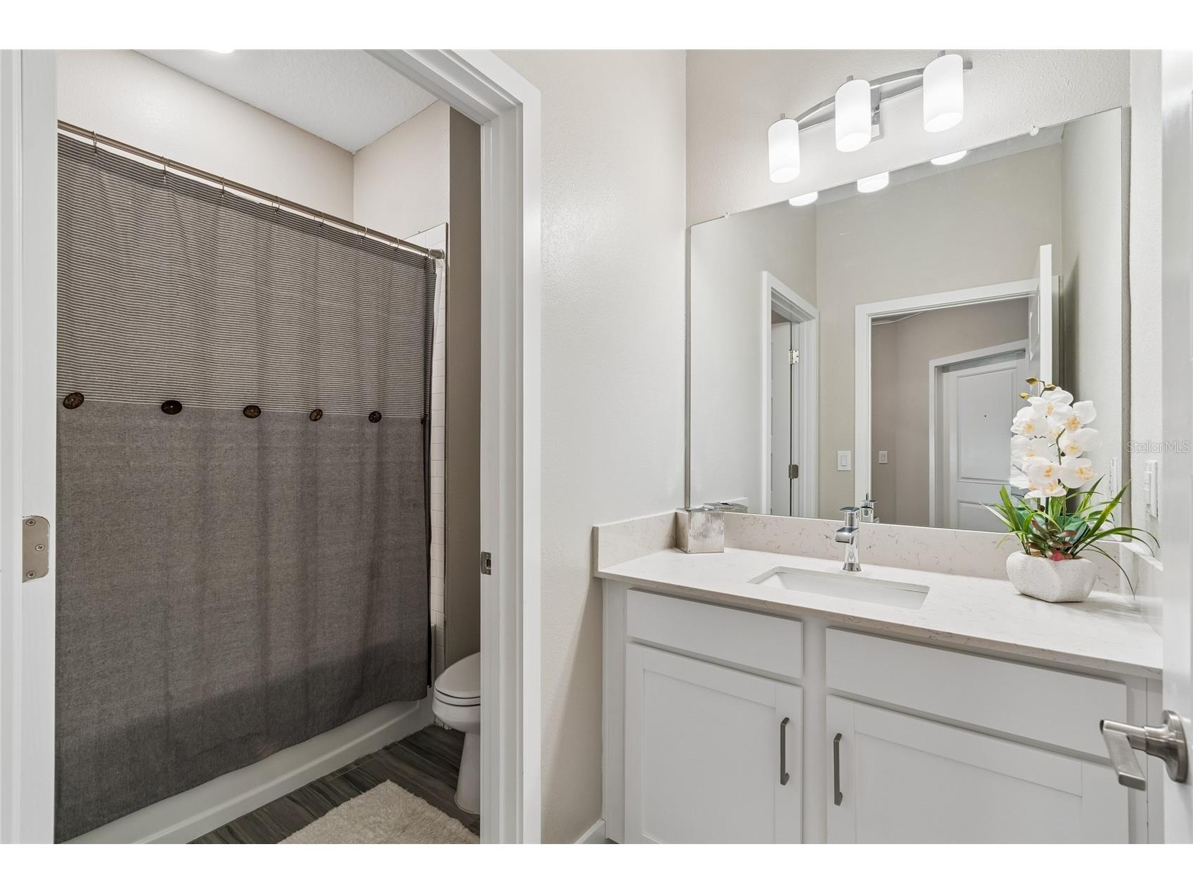 9911 Campanula Court Land O Lakes FL 34637 TB8502750 image6