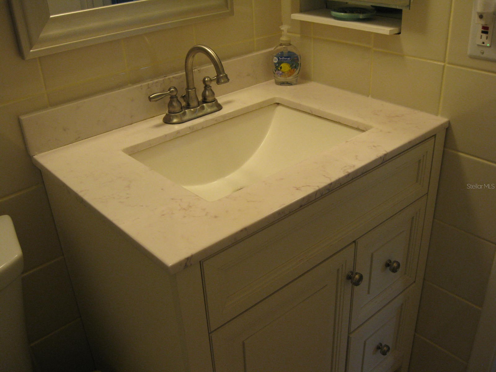 9911 Dahlia Street N #38 Pinellas Park FL 33782 TB8502275 image11