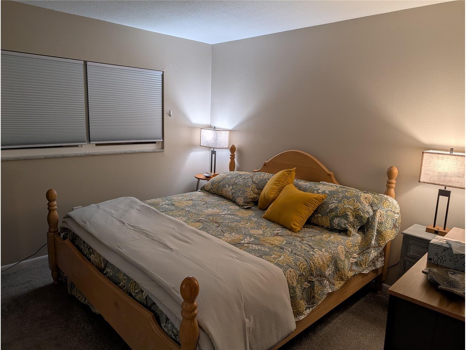 9911 Dahlia Street N #38 Pinellas Park FL 33782 TB8502275 image14