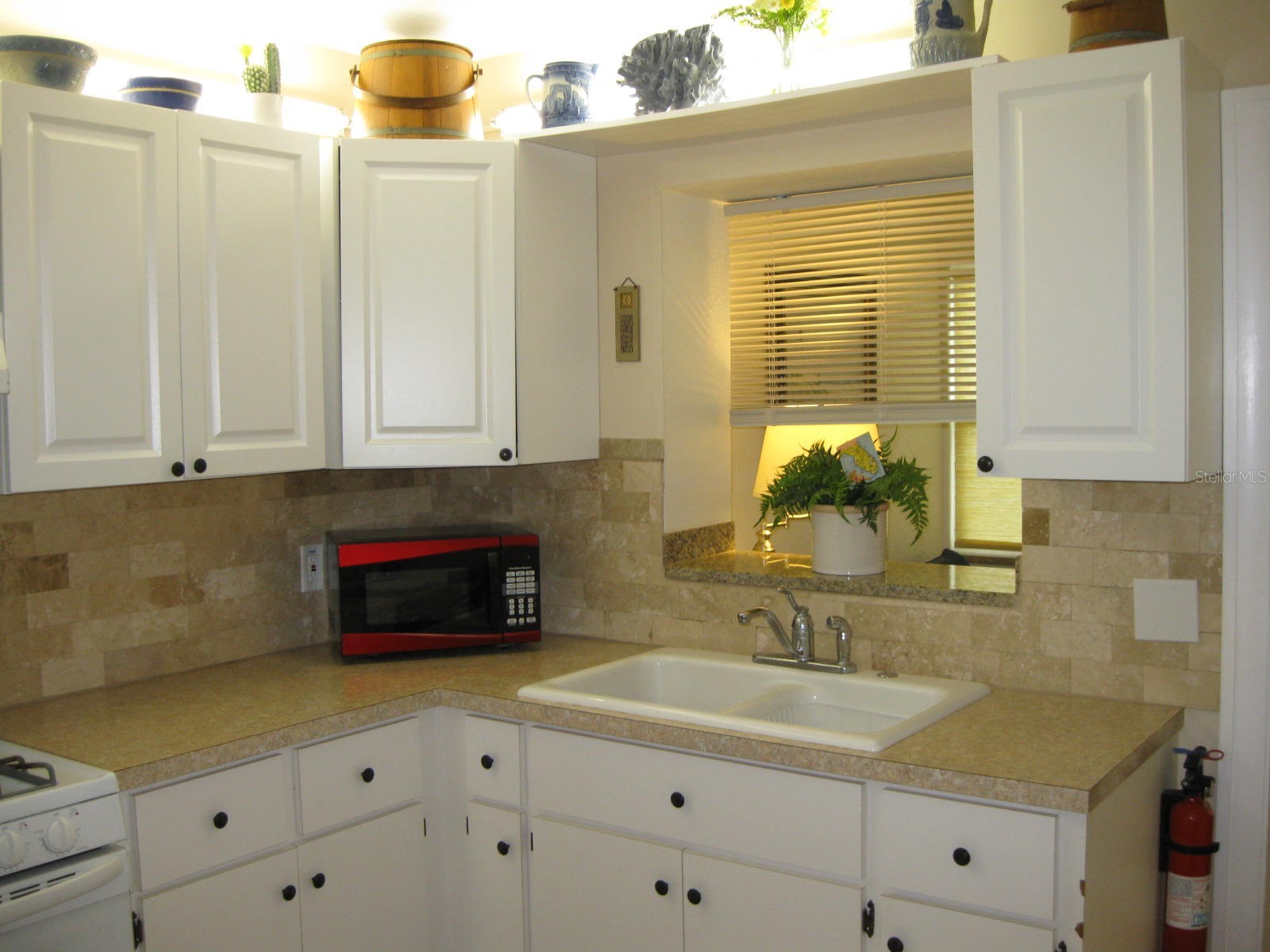 9911 Dahlia Street N #38 Pinellas Park FL 33782 TB8502275 image21