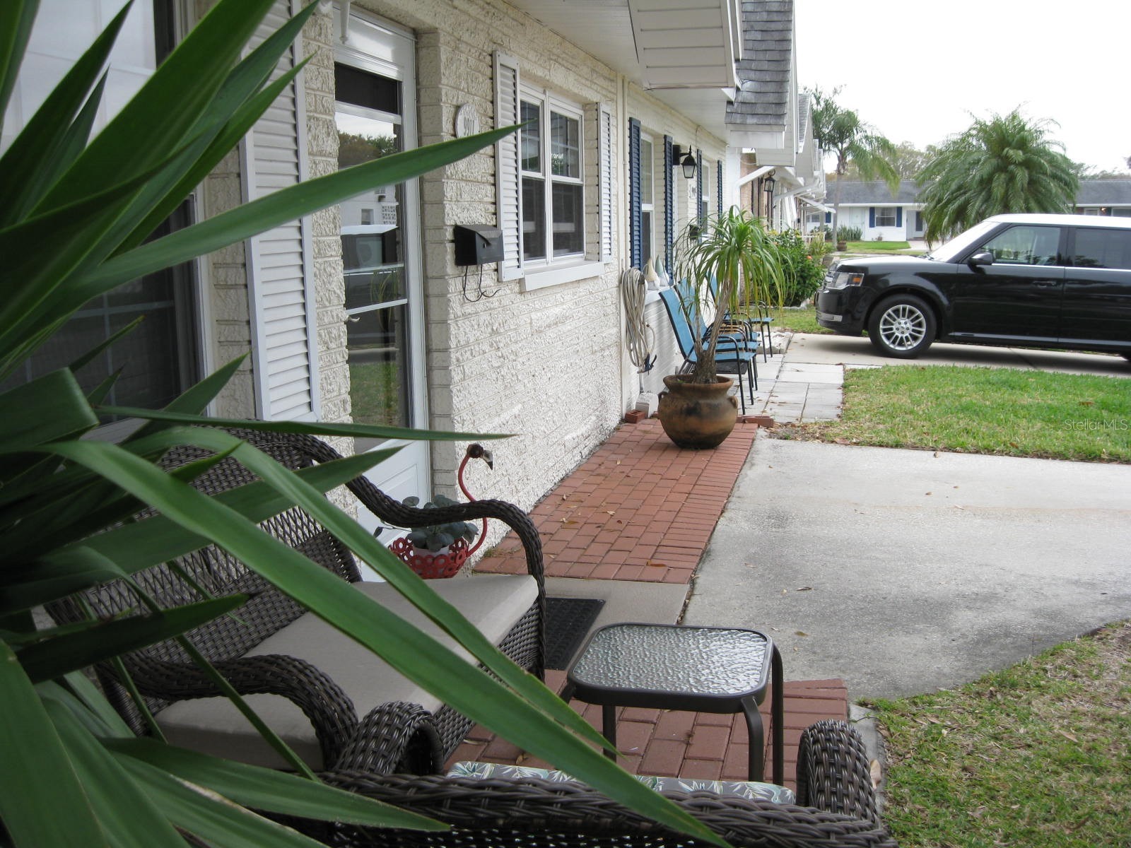 9911 Dahlia Street N #38 Pinellas Park FL 33782 TB8502275 image25