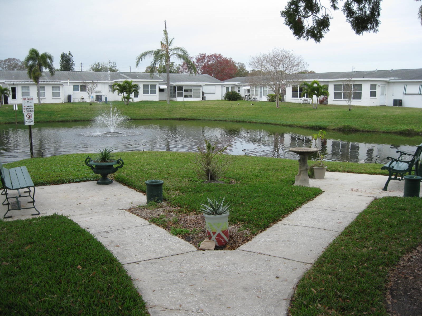 9911 Dahlia Street N #38 Pinellas Park FL 33782 TB8502275 image29