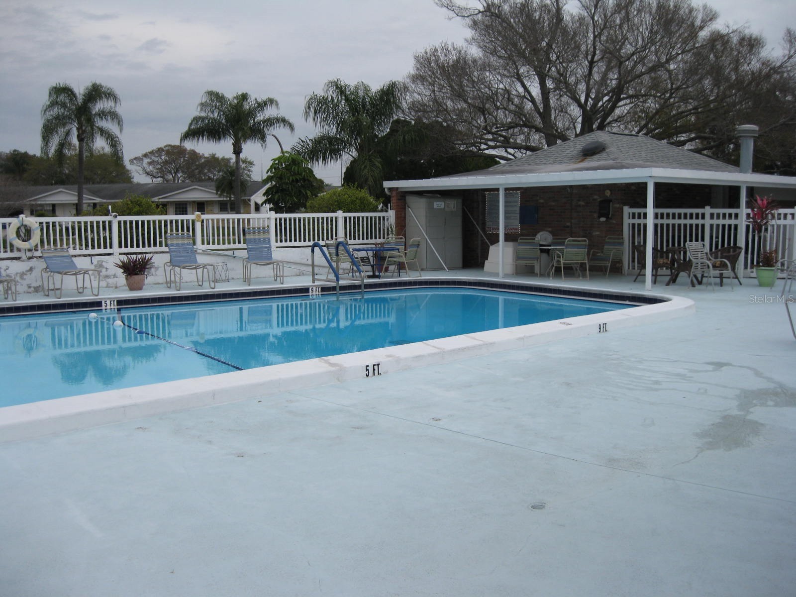 9911 Dahlia Street N #38 Pinellas Park FL 33782 TB8502275 image30