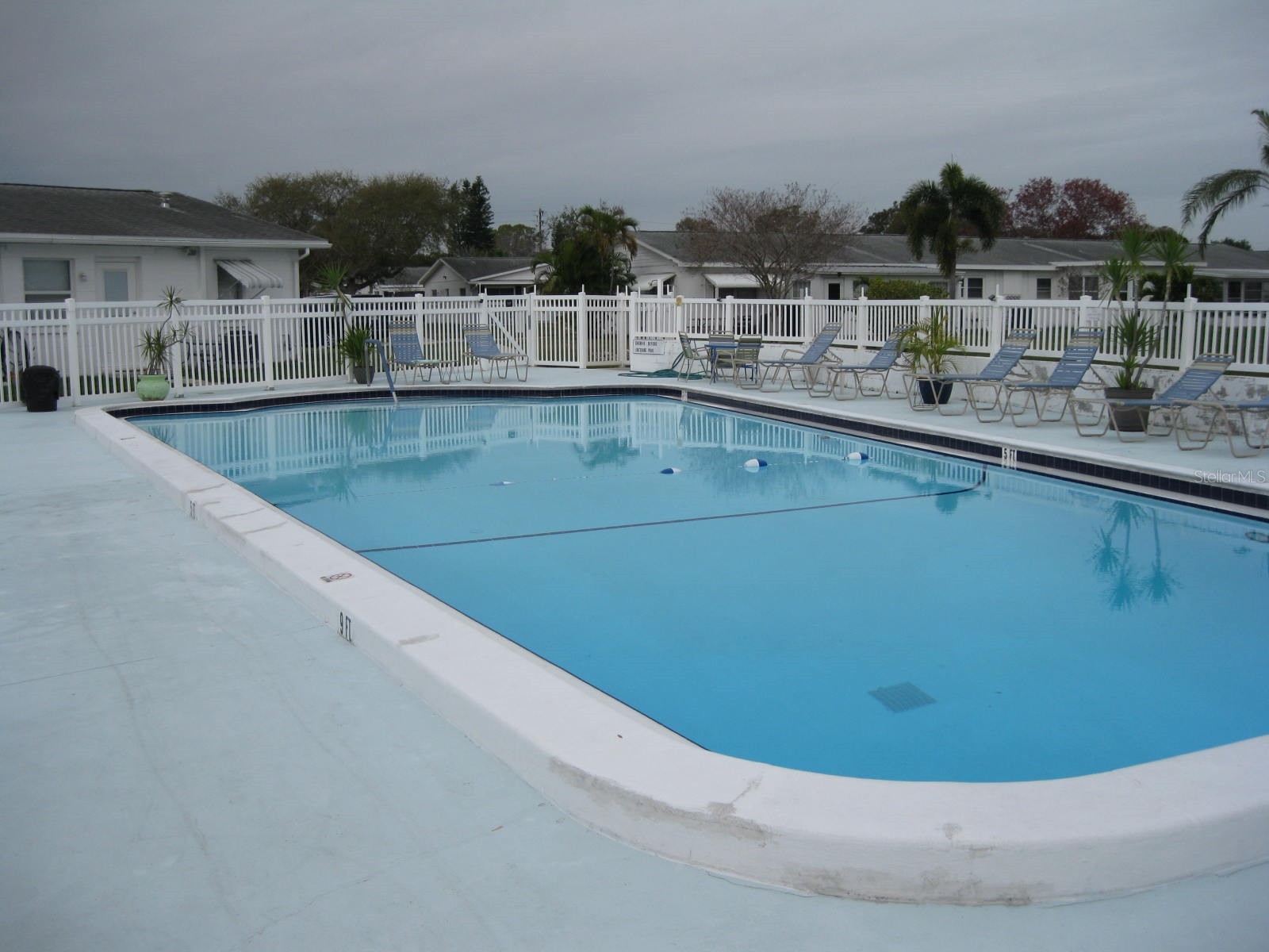 9911 Dahlia Street N #38 Pinellas Park FL 33782 TB8502275 image31