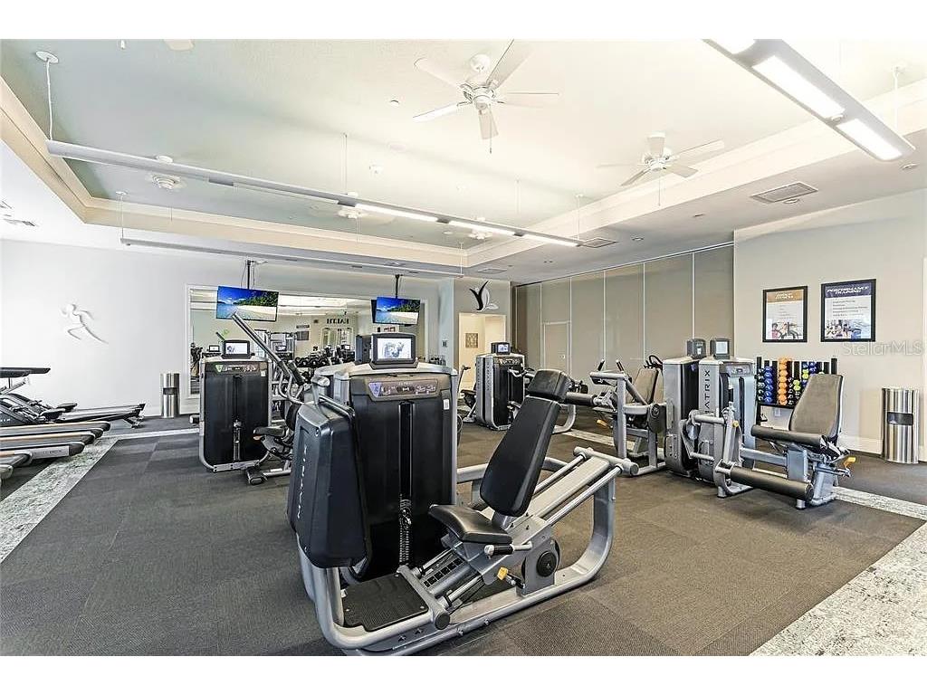 9912 Batchelder Terrace Palmetto FL 34221 TB8530370 image58