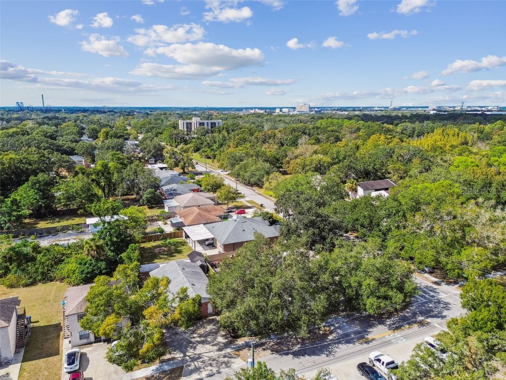 9912 N Myrtle Street Tampa FL 33617 TB8446567 image58