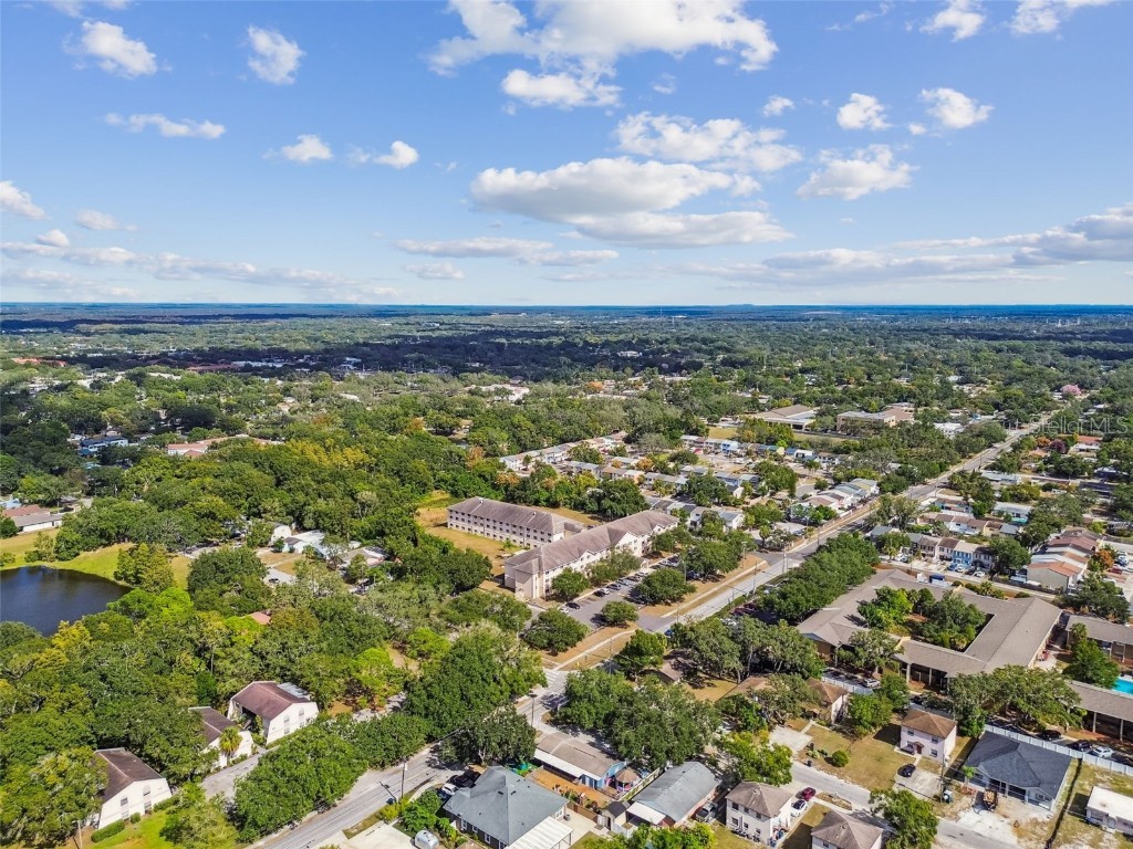 9912 N Myrtle Street Tampa FL 33617 TB8446567 image62