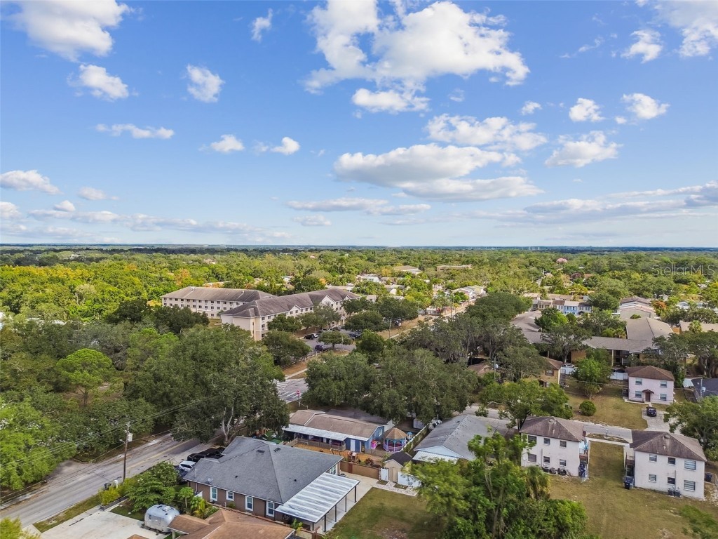 9912 N Myrtle Street Tampa FL 33617 TB8446567 image67