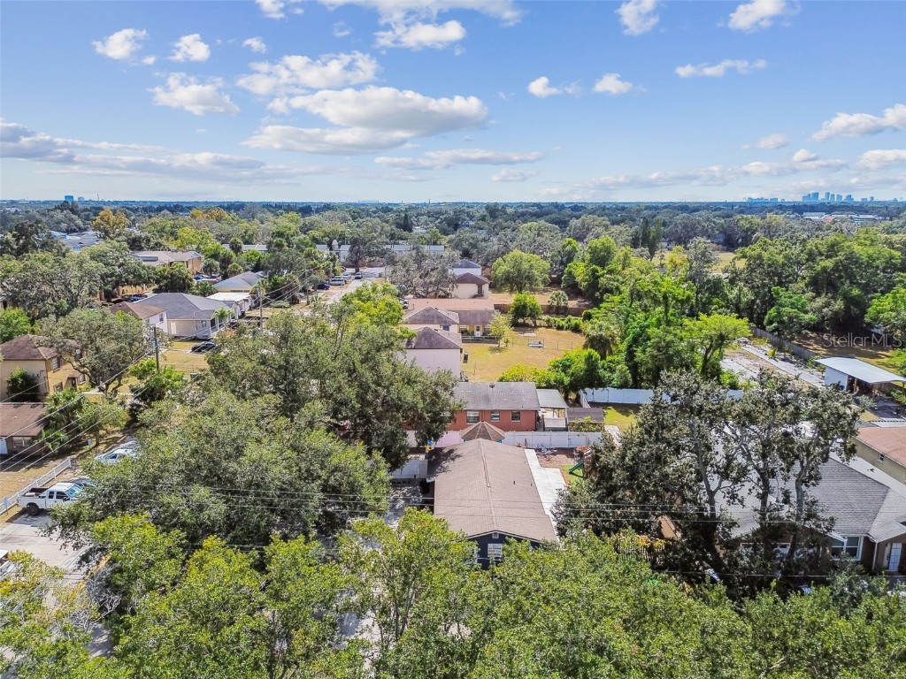 9912 N Myrtle Street Tampa FL 33617 TB8446567 image73