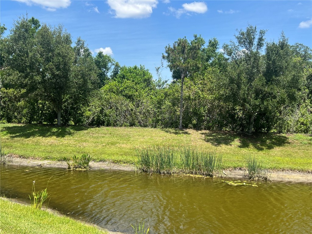 9912 Sheltering Spruce Street Englewood FL 34223 TB8340496 image41