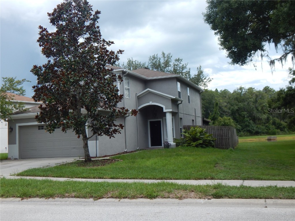 9913 Edmonton Drive Land O Lakes FL 34638 T3531723 image1