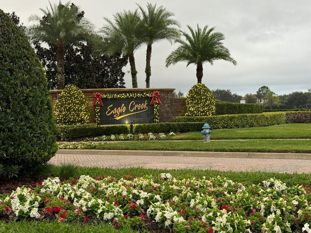 9913 Hatton Circle Orlando FL 32832 TB8444156 image22