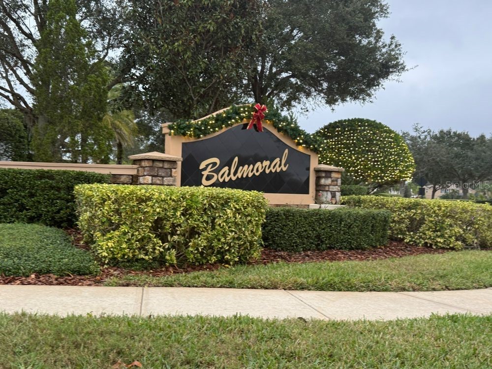 9913 Hatton Circle Orlando FL 32832 TB8444156 image24