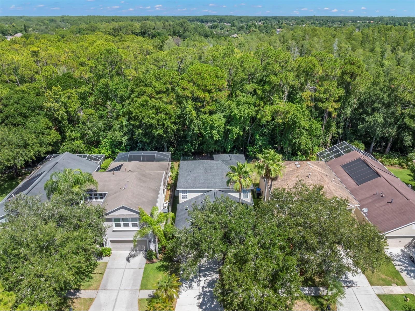 9915 Hartwell Bridge Circle Tampa FL 33626 TB8519138 image42