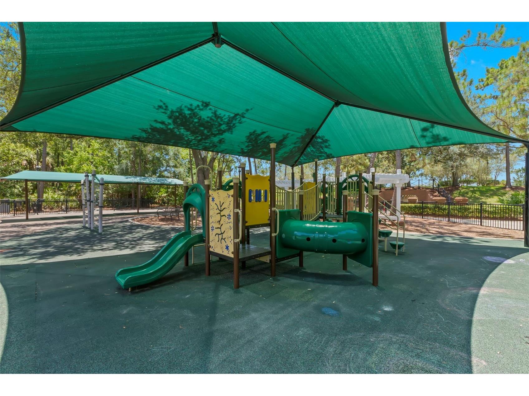 9915 Hartwell Bridge Circle Tampa FL 33626 TB8519138 image47