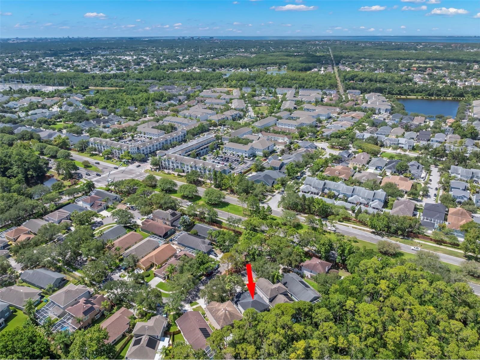 9915 Hartwell Bridge Circle Tampa FL 33626 TB8519138 image66