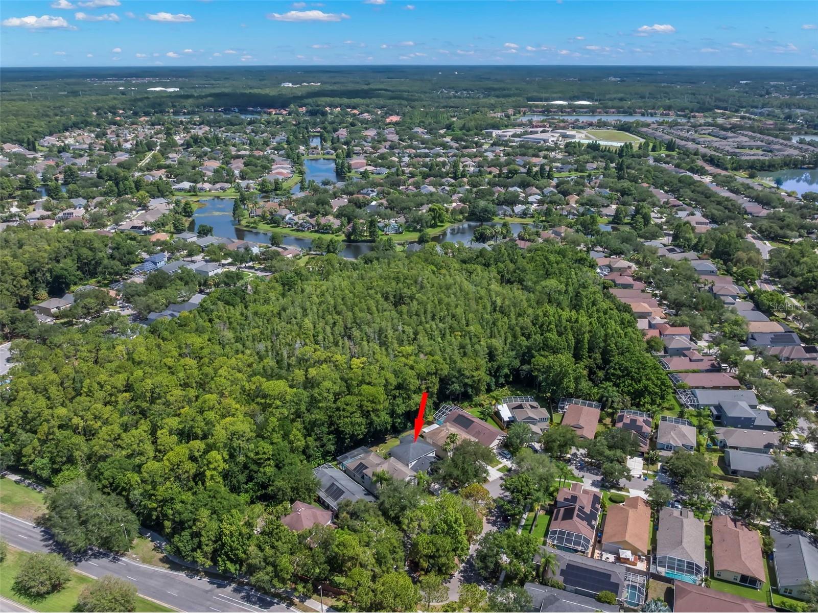 9915 Hartwell Bridge Circle Tampa FL 33626 TB8519138 image67