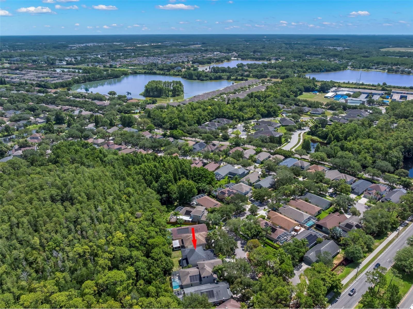 9915 Hartwell Bridge Circle Tampa FL 33626 TB8519138 image68