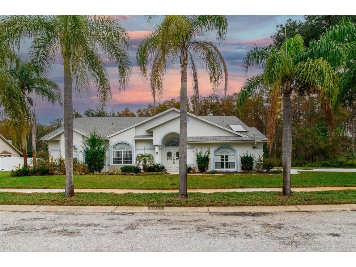 9915 Hermosillo Drive New Port Richey FL 34655 W7859951 image1