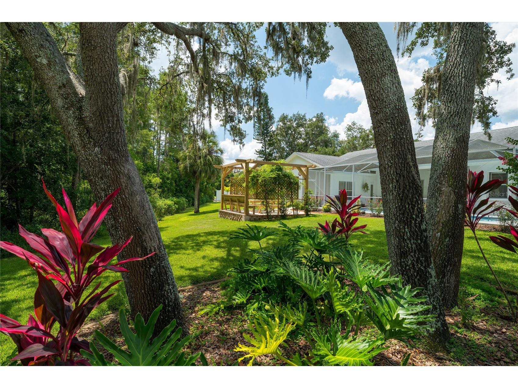 9915 Hermosillo Drive New Port Richey FL 34655 TB8468175 image30