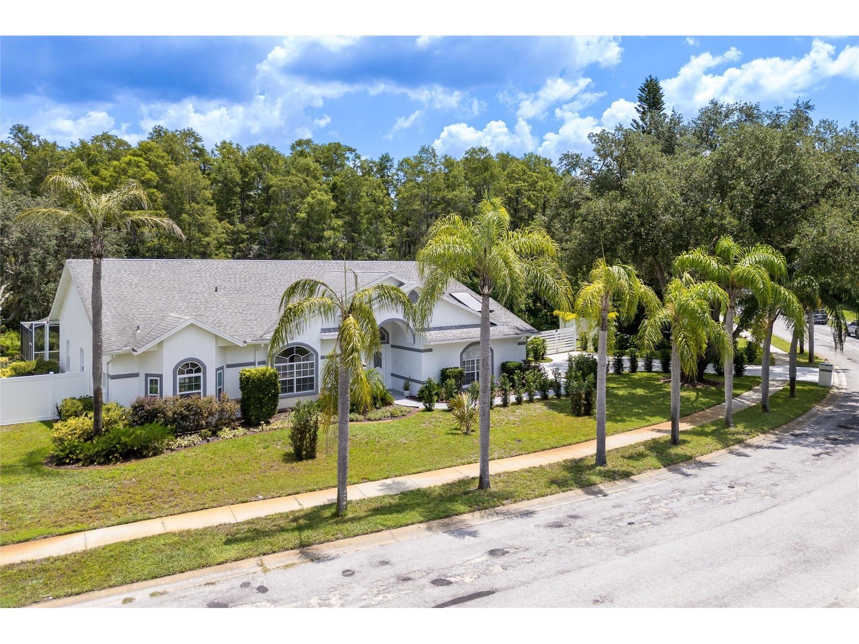 9915 Hermosillo Drive New Port Richey FL 34655 TB8468175 image36