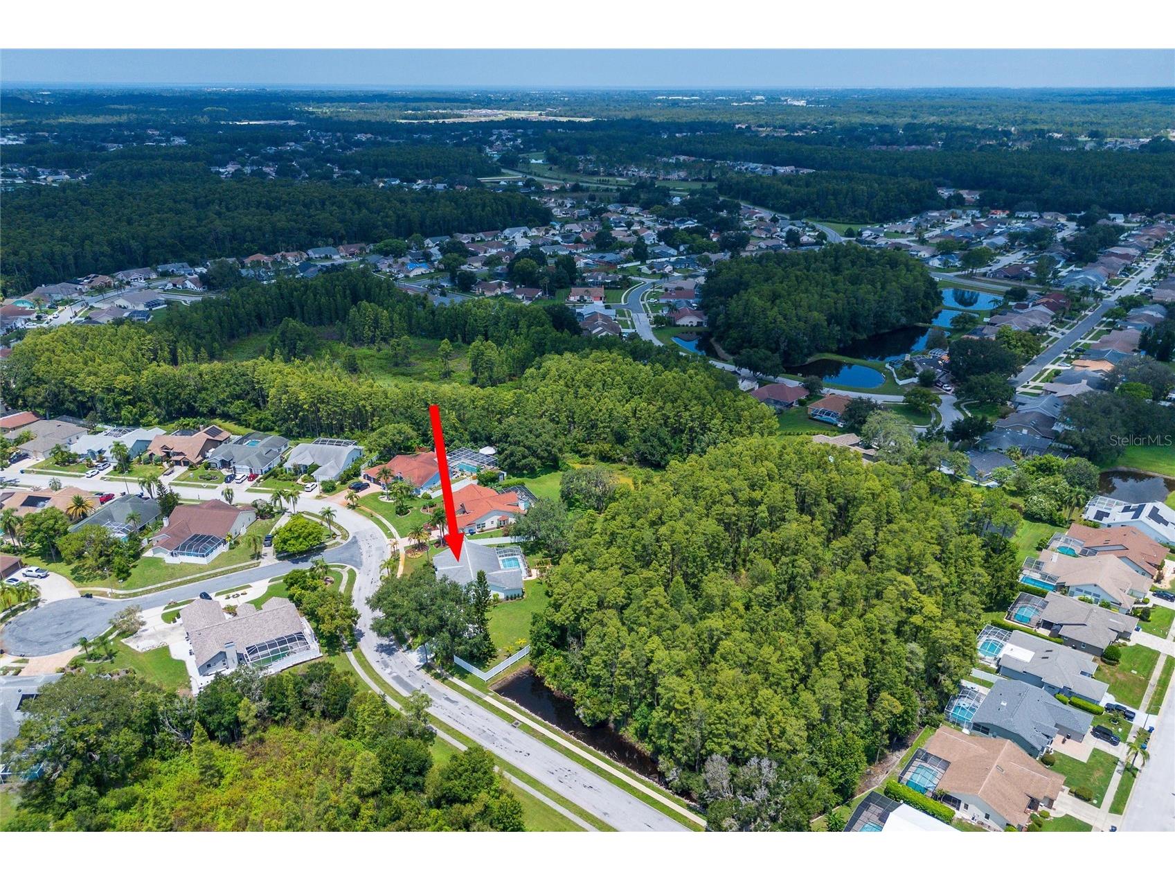 9915 Hermosillo Drive New Port Richey FL 34655 TB8468175 image39