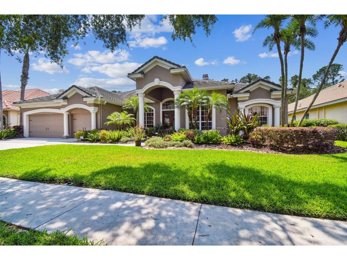 9915 Tree Tops Lake Road Tampa FL 33626 T3440639 image1