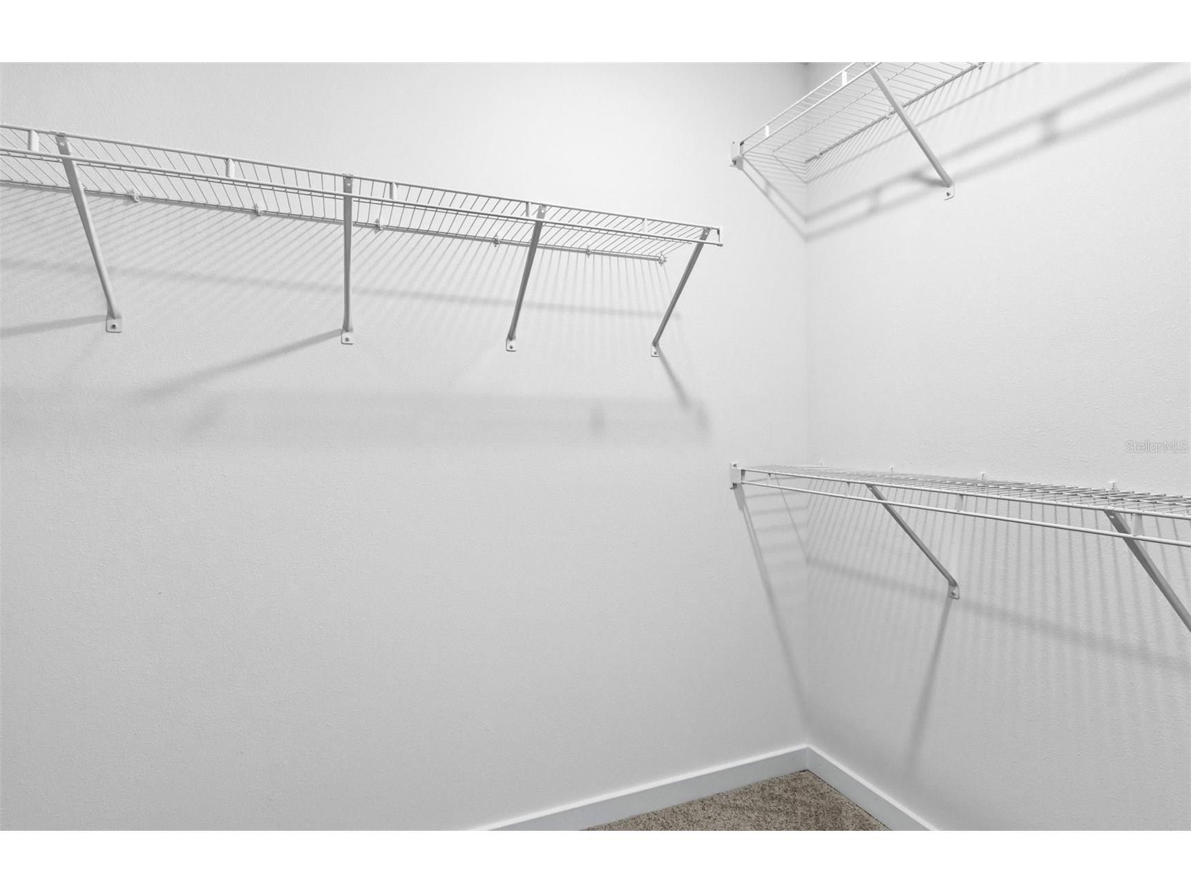 9915 Trellis Vine Way Parrish FL 34219 TB8438360 image17