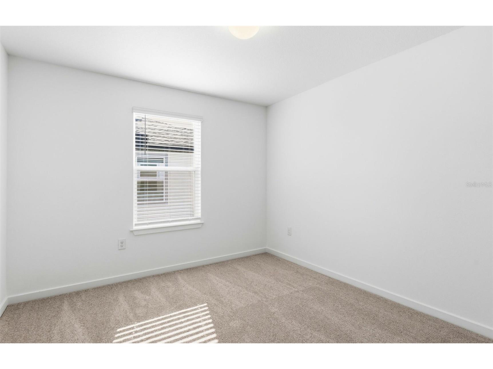 9915 Trellis Vine Way Parrish FL 34219 TB8438360 image18