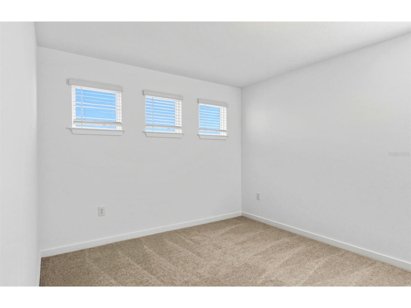 9915 Trellis Vine Way Parrish FL 34219 TB8438360 image20